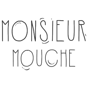 monsieur_mouche